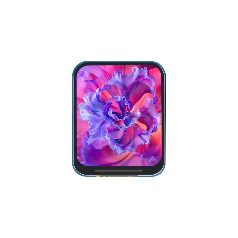 Modul LCD IPS 1.69 Inci ST7789 - Pi Display ulasan dan harga